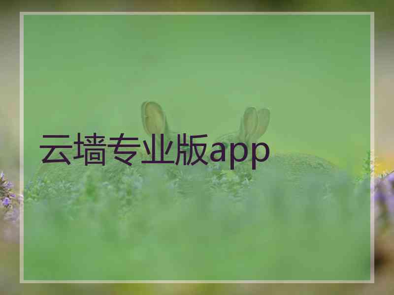 云墙专业版app