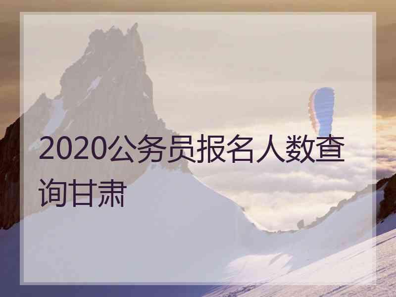 2020公务员报名人数查询甘肃