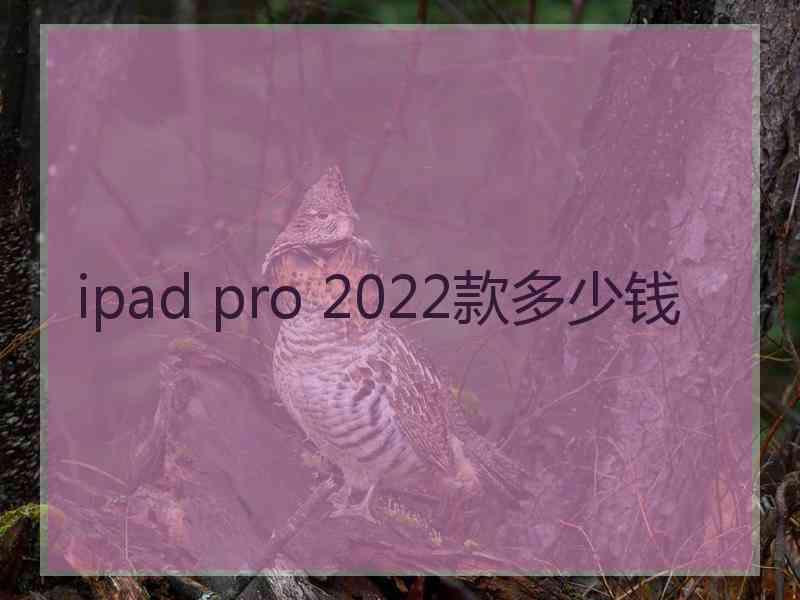 ipad pro 2022款多少钱