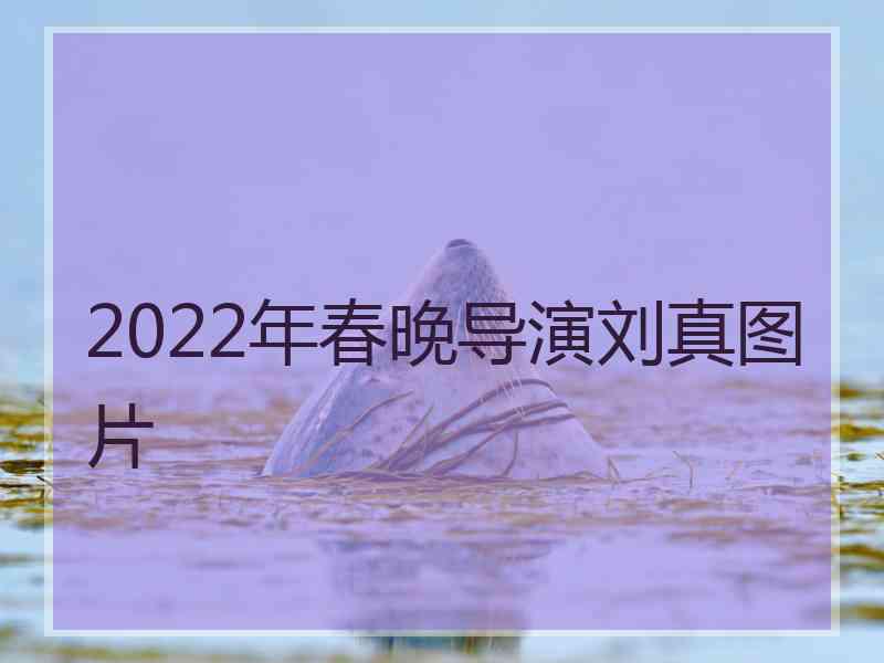 2022年春晚导演刘真图片