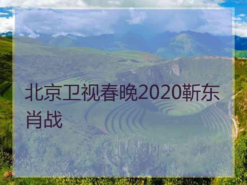 北京卫视春晚2020靳东肖战