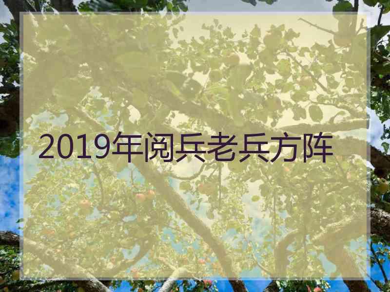 2019年阅兵老兵方阵