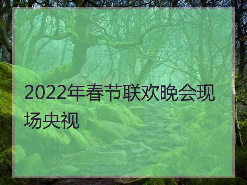 2022年春节联欢晚会现场央视