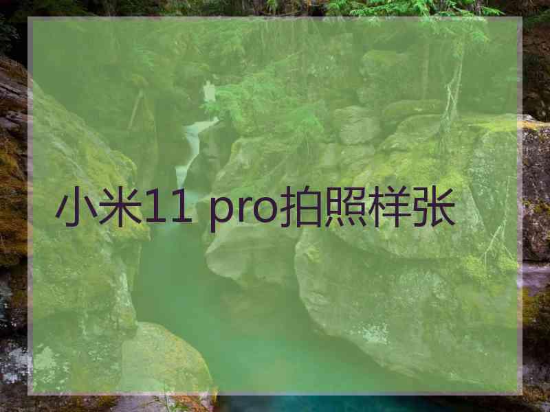 小米11 pro拍照样张