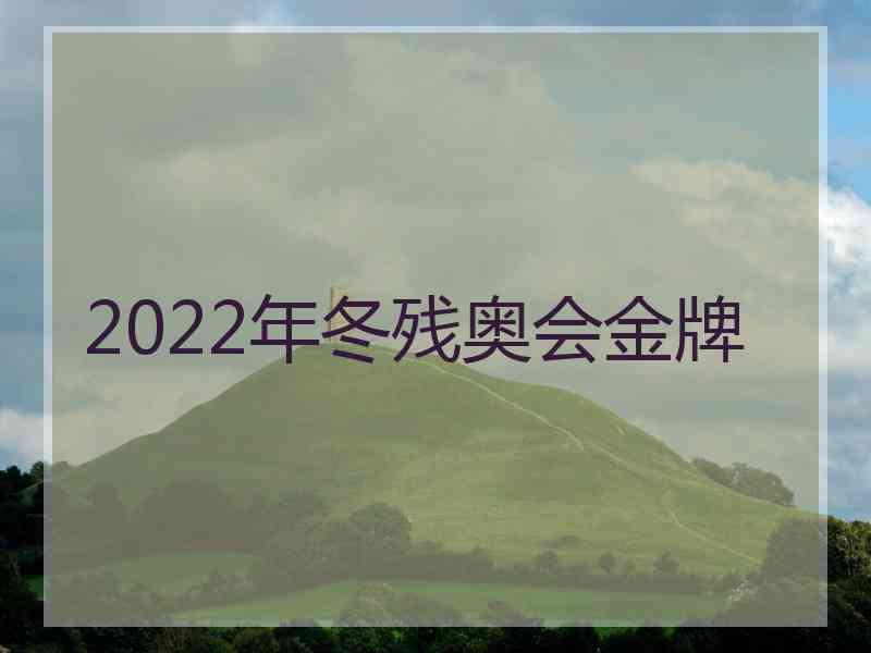 2022年冬残奥会金牌