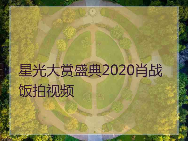 星光大赏盛典2020肖战饭拍视频