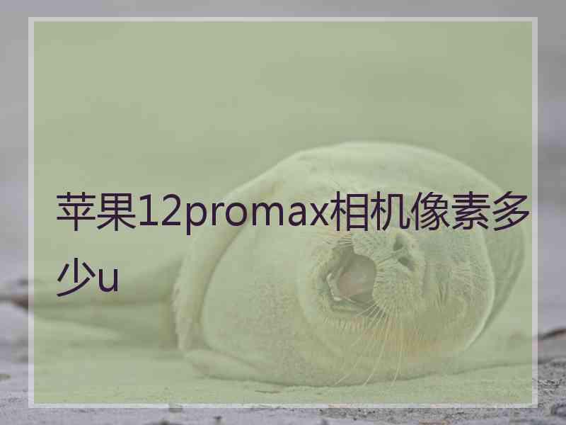 苹果12promax相机像素多少u