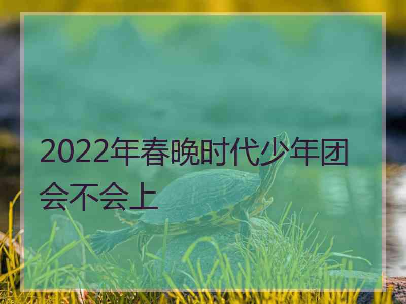 2022年春晚时代少年团会不会上