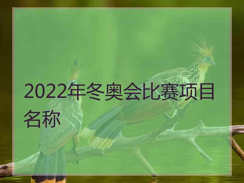 2022年冬奥会比赛项目名称