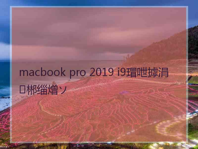 macbook pro 2019 i9瑁呭摢涓郴缁熷ソ