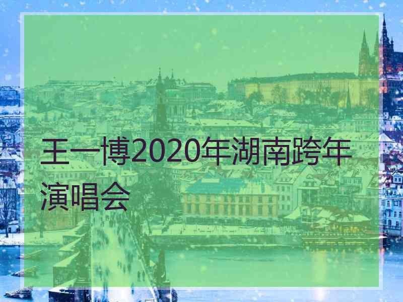 王一博2020年湖南跨年演唱会