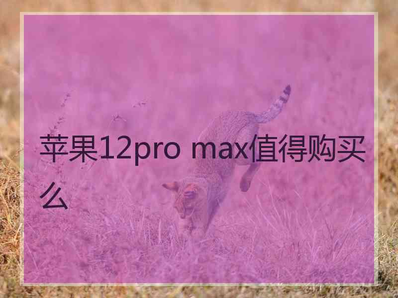 苹果12pro max值得购买么