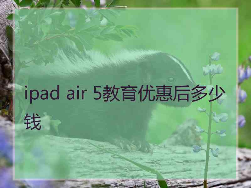 ipad air 5教育优惠后多少钱