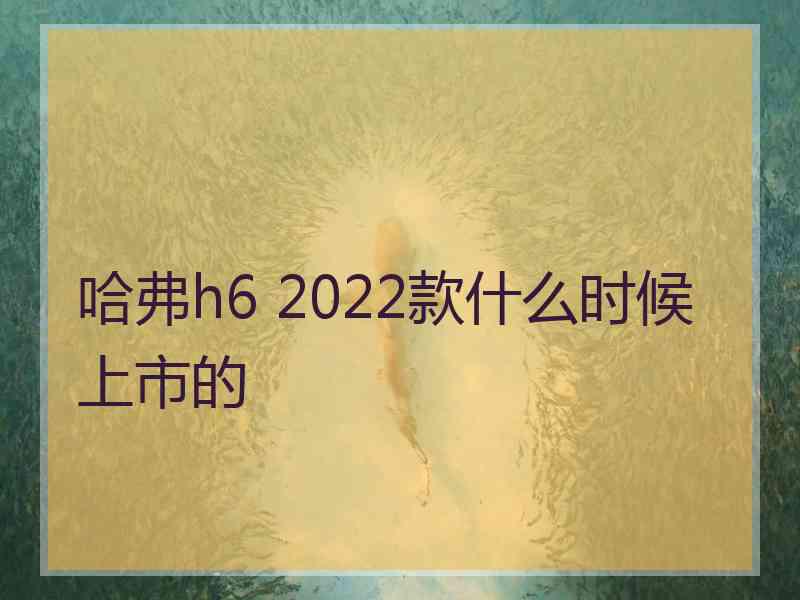 哈弗h6 2022款什么时候上市的