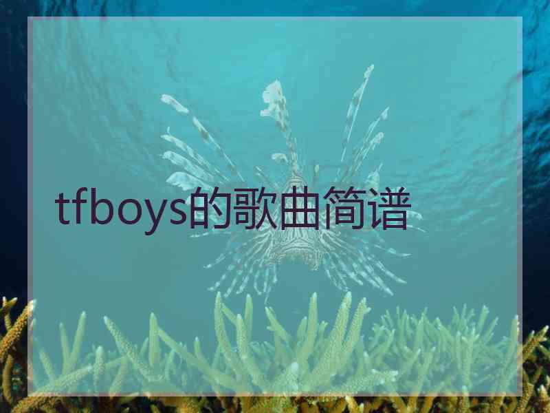 tfboys的歌曲简谱