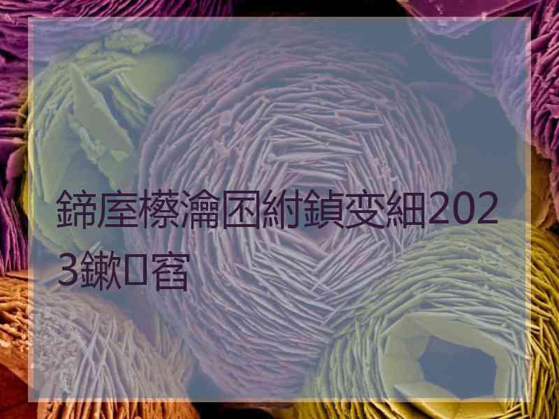 鍗庢櫒瀹囨紨鍞变細2023鏉窞