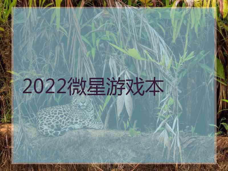 2022微星游戏本