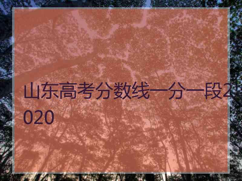 山东高考分数线一分一段2020