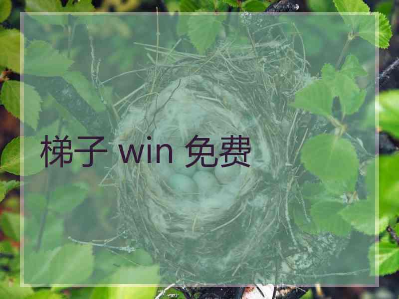 梯子 win 免费