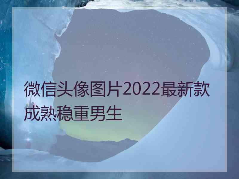 微信头像图片2022最新款成熟稳重男生