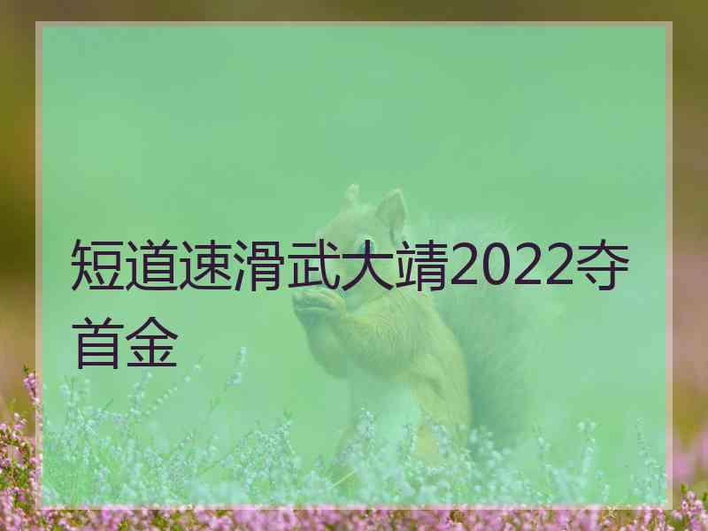 短道速滑武大靖2022夺首金