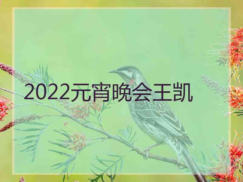 2022元宵晚会王凯