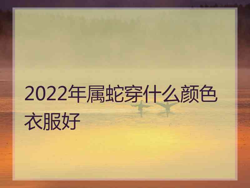 2022年属蛇穿什么颜色衣服好