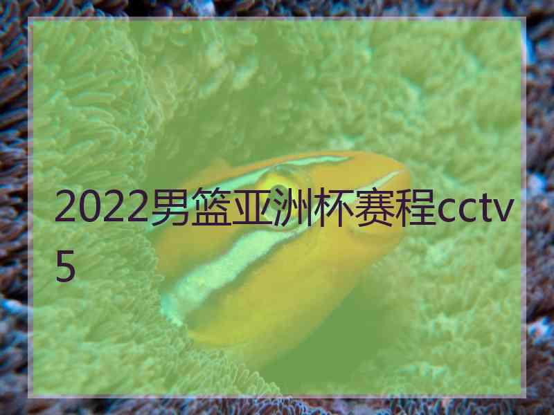 2022男篮亚洲杯赛程cctv5