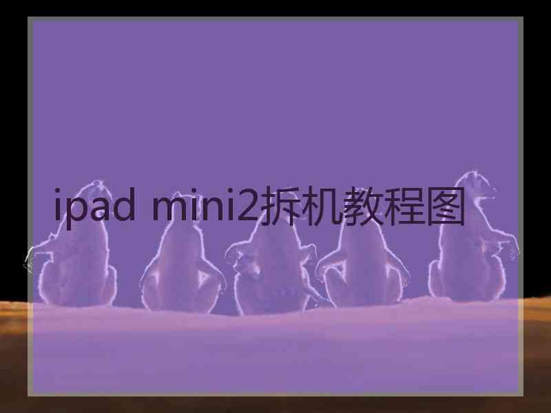 ipad mini2拆机教程图