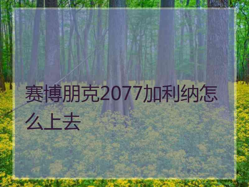 赛博朋克2077加利纳怎么上去