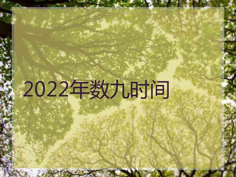 2022年数九时间