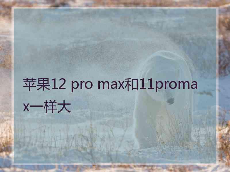 苹果12 pro max和11promax一样大