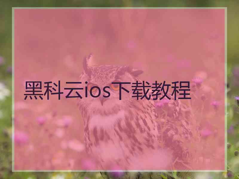 黑科云ios下载教程