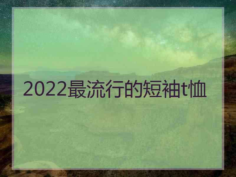 2022最流行的短袖t恤