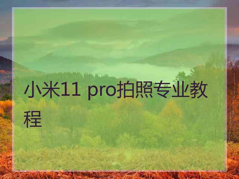 小米11 pro拍照专业教程