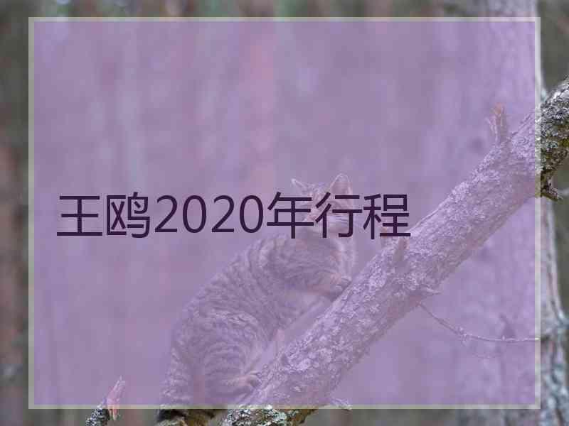 王鸥2020年行程