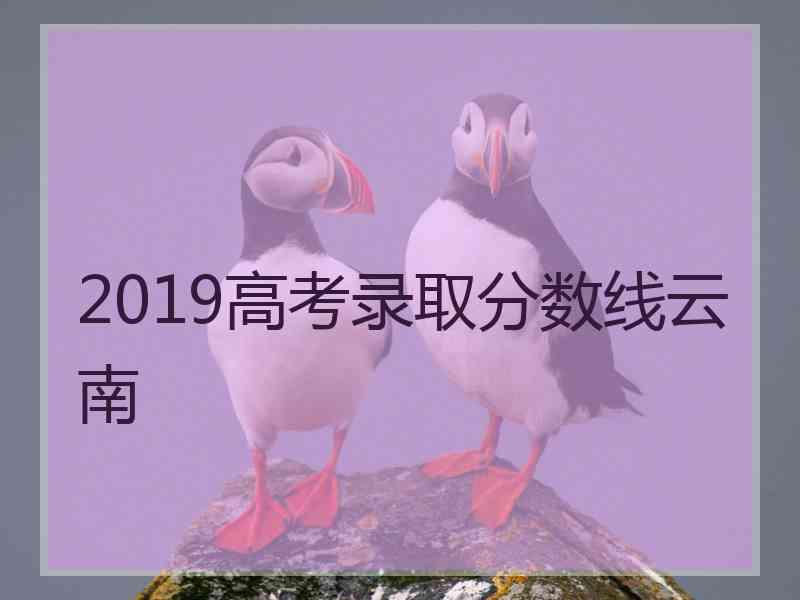 2019高考录取分数线云南