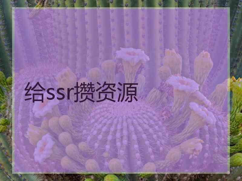 给ssr攒资源