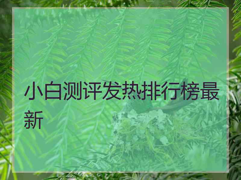 小白测评发热排行榜最新