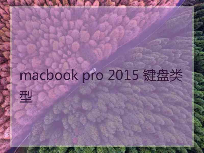 macbook pro 2015 键盘类型