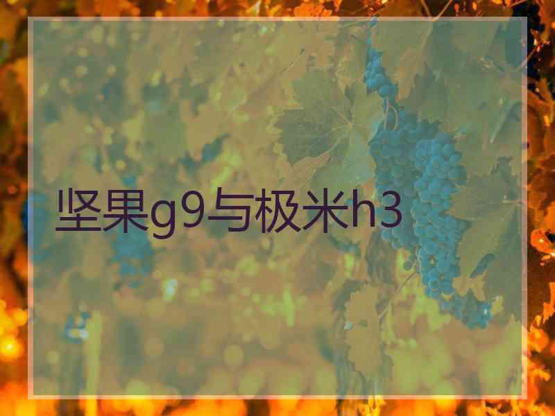 坚果g9与极米h3