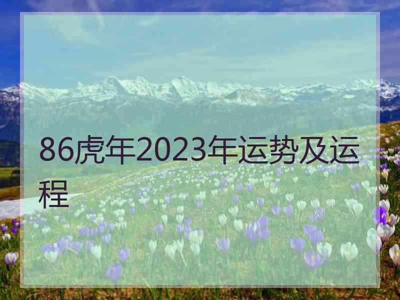 86虎年2023年运势及运程