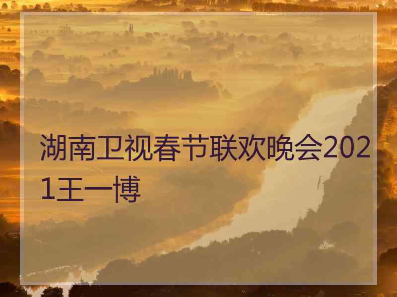 湖南卫视春节联欢晚会2021王一博