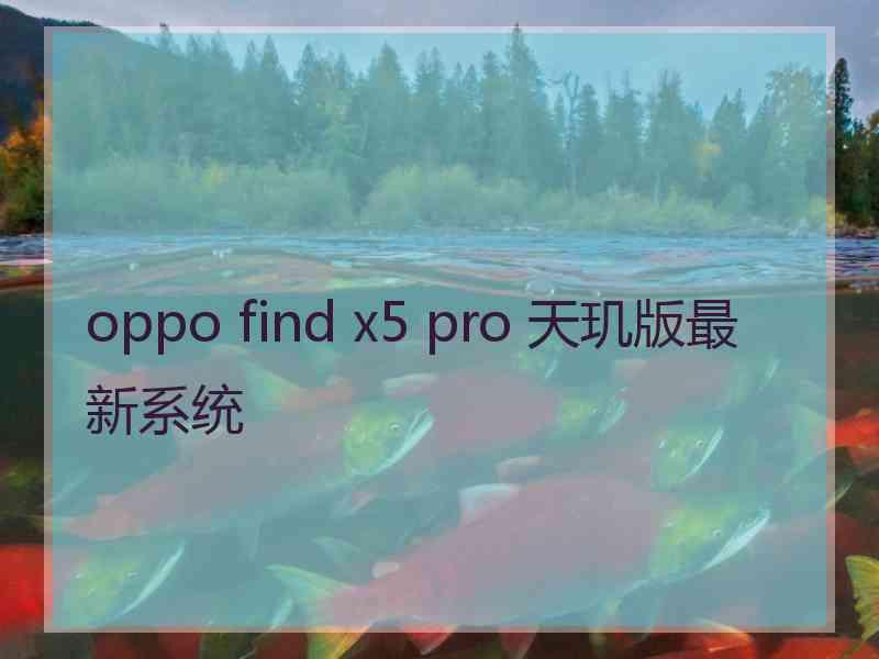 oppo find x5 pro 天玑版最新系统