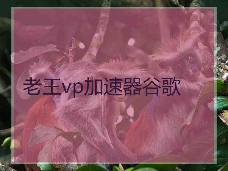 老王vp加速器谷歌