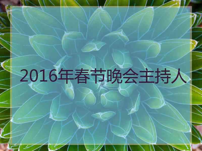 2016年春节晚会主持人