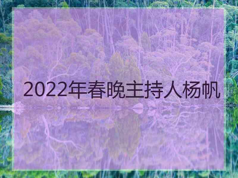 2022年春晚主持人杨帆