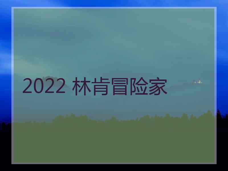 2022 林肯冒险家