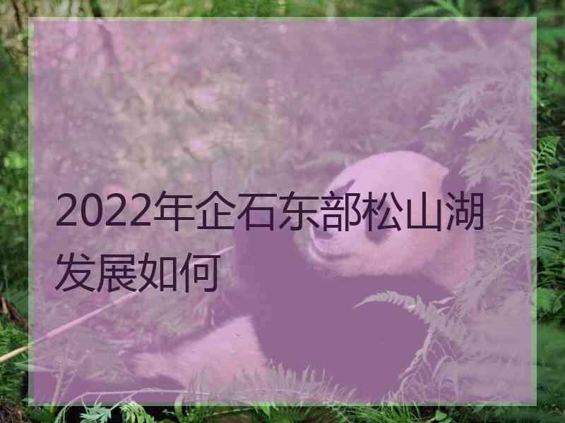 2022年企石东部松山湖发展如何