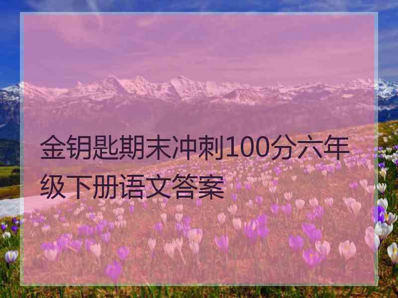 金钥匙期末冲刺100分六年级下册语文答案